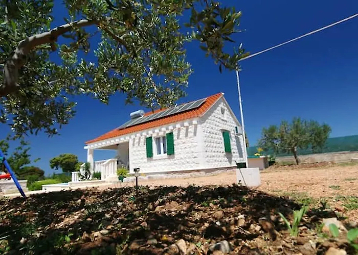 Charming In + Pool بوتشيتشا